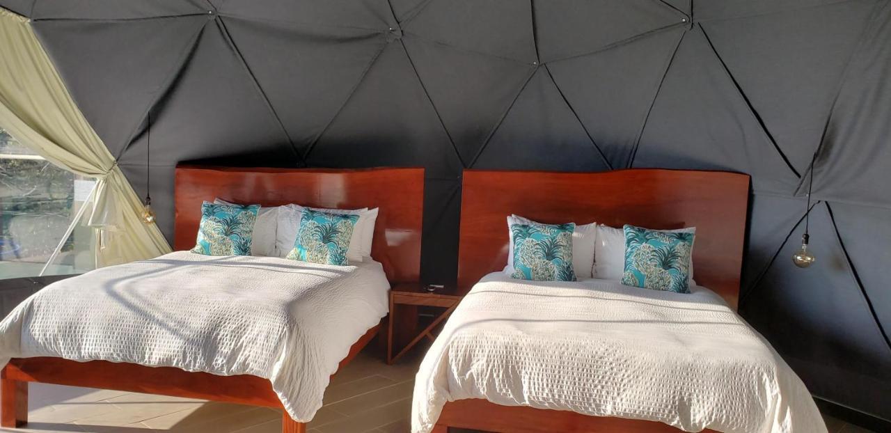Chira Glamping Resort Monteverde Dış mekan fotoğraf