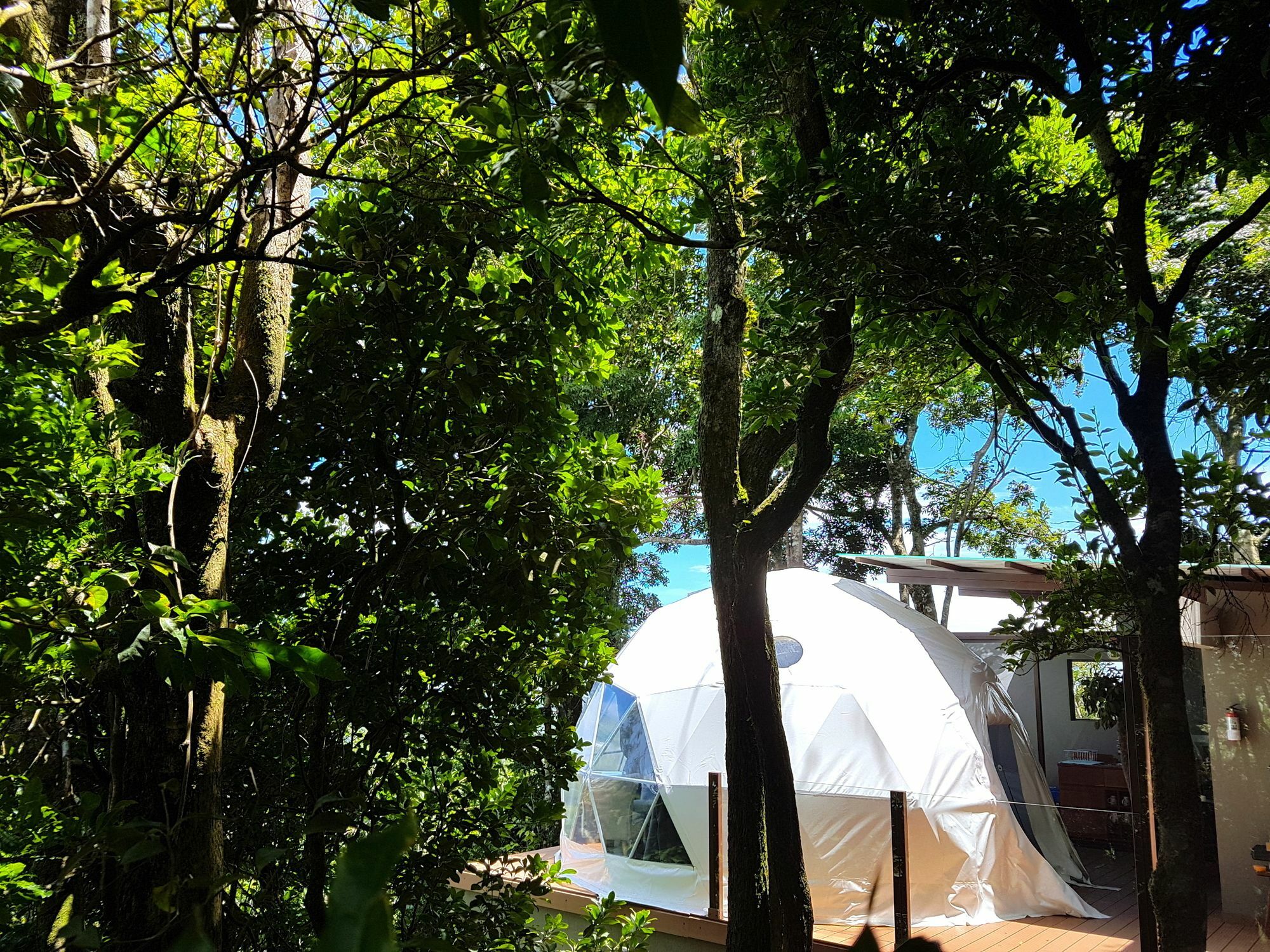Chira Glamping Resort Monteverde Dış mekan fotoğraf