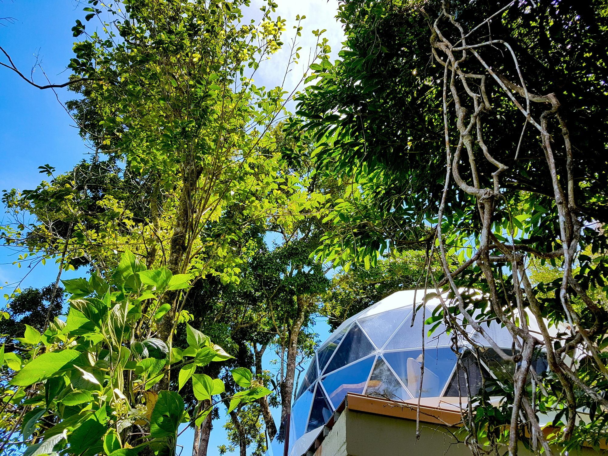 Chira Glamping Resort Monteverde Dış mekan fotoğraf